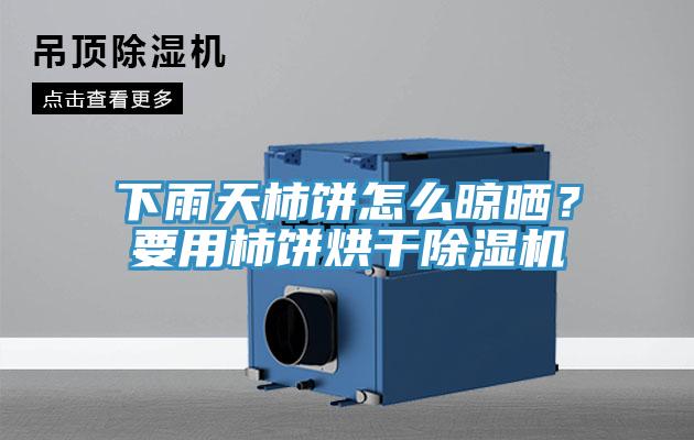 下雨天柿餅怎么晾曬？要用柿餅烘干除濕機(jī)