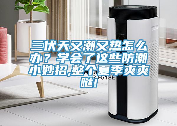 三伏天又潮又熱怎么辦？學(xué)會了這些防潮小妙招,整個夏季爽爽噠!