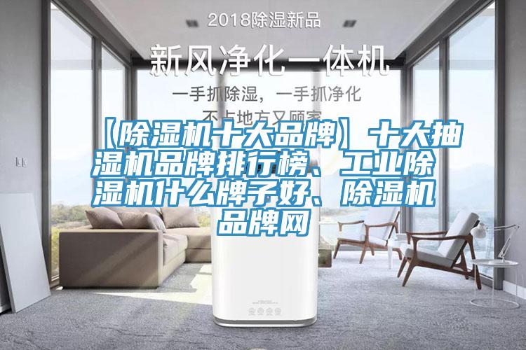 【除濕機十大品牌】十大抽濕機品牌排行榜、工業(yè)除濕機什么牌子好、除濕機品牌網(wǎng)