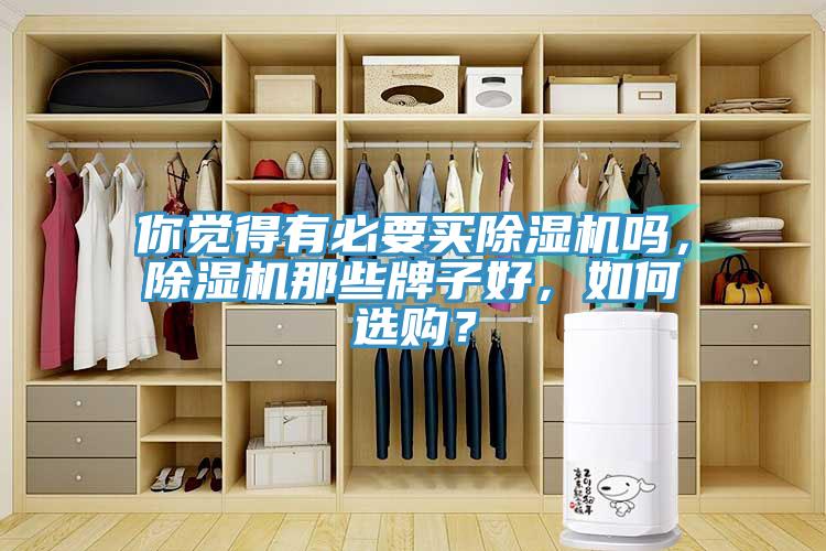 你覺(jué)得有必要買(mǎi)除濕機(jī)嗎，除濕機(jī)那些牌子好，如何選購(gòu)？