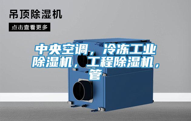 中央空調(diào)，冷凍工業(yè)除濕機，工程除濕機，管