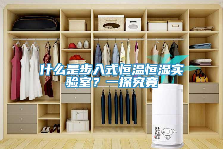 什么是步入式恒溫恒濕實驗室？一探究竟