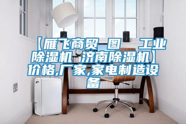 【雁飛商貿(mào) 圖  工業(yè)除濕機(jī) 濟(jì)南除濕機(jī)】價(jià)格,廠家,家電制造設(shè)備