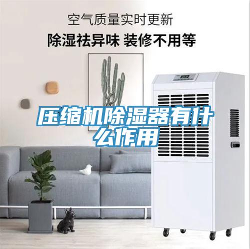 壓縮機(jī)除濕器有什么作用