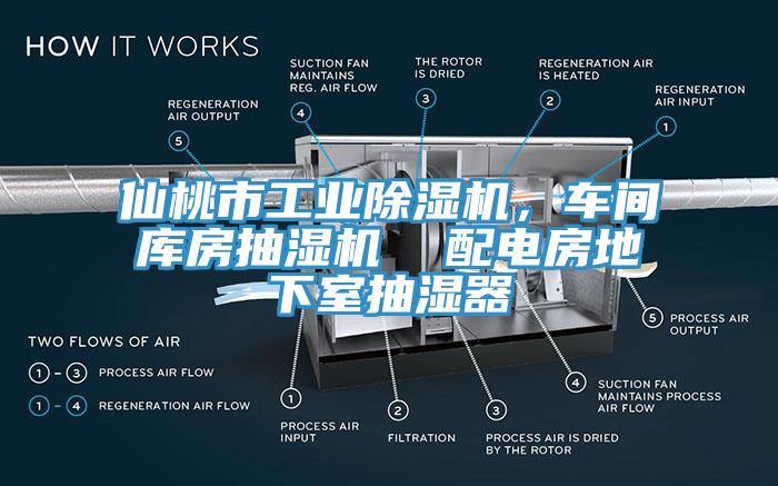 仙桃市工業(yè)除濕機(jī)，車間庫(kù)房抽濕機(jī)  配電房地下室抽濕器