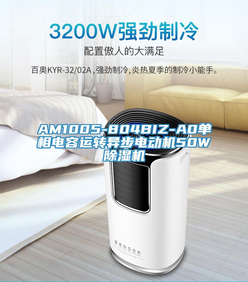 AM1005-804BIZ-A0單相電容運轉(zhuǎn)異步電動機50W除濕機