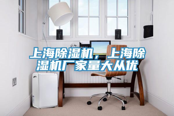 上海除濕機，上海除濕機廠家量大從優(yōu)