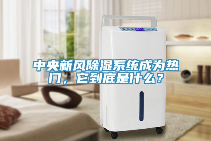 中央新風(fēng)除濕系統(tǒng)成為熱門，它到底是什么？