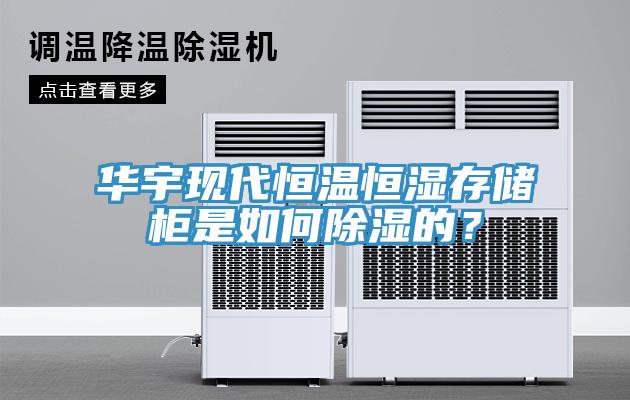 華宇現(xiàn)代恒溫恒濕存儲(chǔ)柜是如何除濕的？