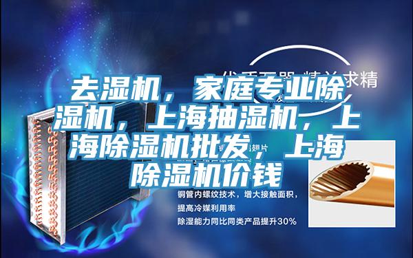 去濕機，家庭專業(yè)除濕機，上海抽濕機，上海除濕機批發(fā)，上海除濕機價錢