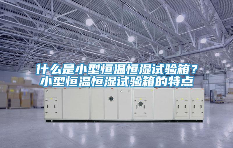 什么是小型恒溫恒濕試驗(yàn)箱？小型恒溫恒濕試驗(yàn)箱的特點(diǎn)