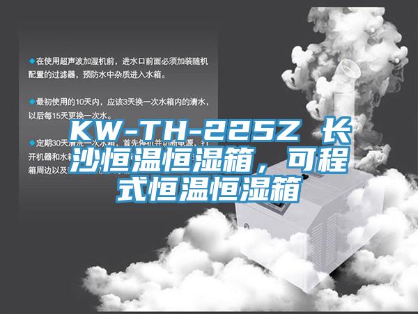 KW-TH-225Z 長沙恒溫恒濕箱，可程式恒溫恒濕箱