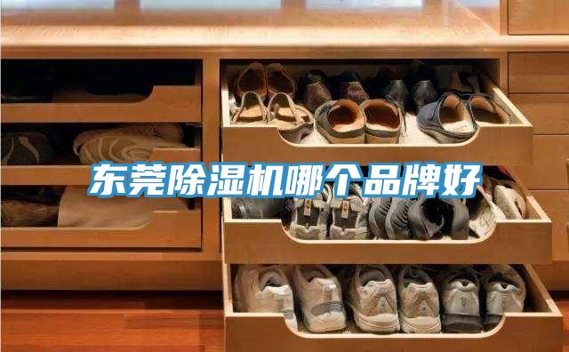 東莞除濕機(jī)哪個(gè)品牌好