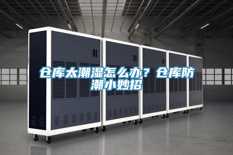 倉庫太潮濕怎么辦？倉庫防潮小妙招
