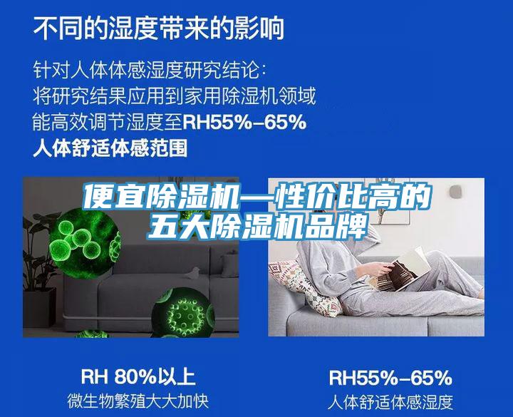 便宜除濕機(jī)—性價比高的五大除濕機(jī)品牌