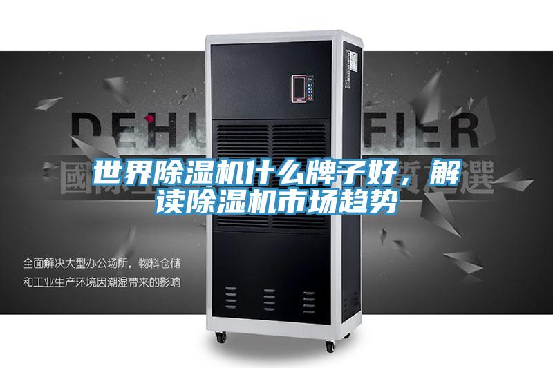 世界除濕機(jī)什么牌子好，解讀除濕機(jī)市場趨勢