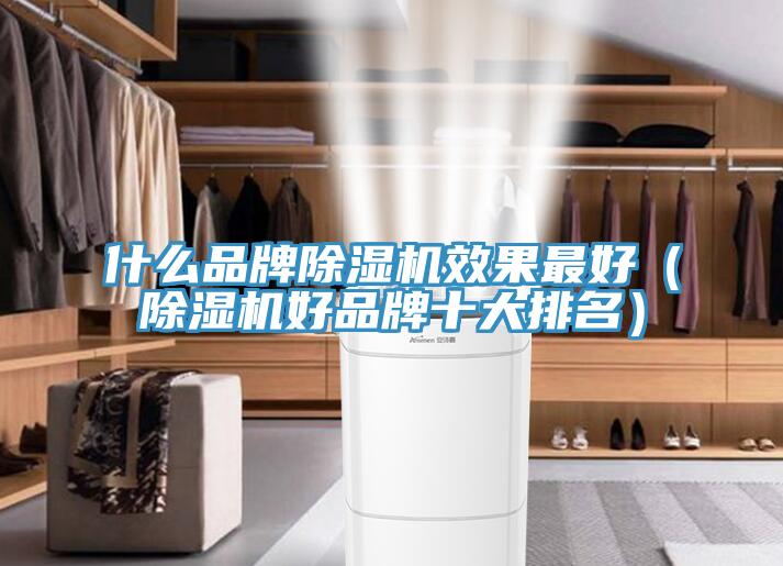 什么品牌除濕機(jī)效果最好（除濕機(jī)好品牌十大排名）
