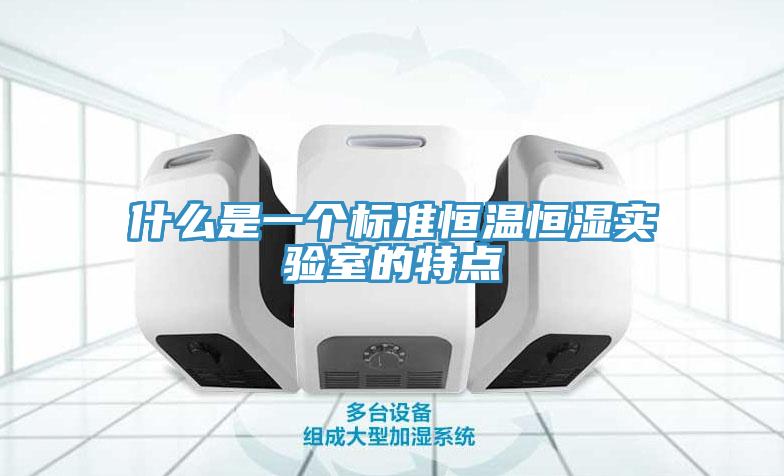 什么是一個標(biāo)準(zhǔn)恒溫恒濕實(shí)驗(yàn)室的特點(diǎn)