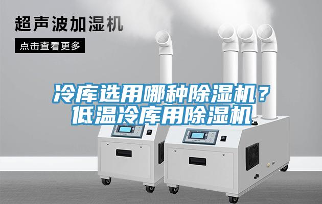 冷庫選用哪種除濕機(jī)？低溫冷庫用除濕機(jī)