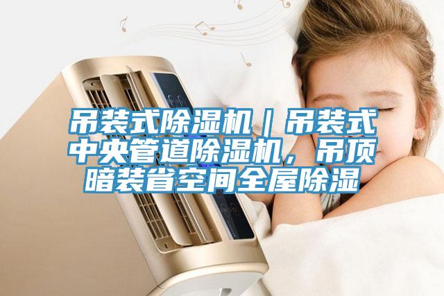 吊裝式除濕機(jī)｜吊裝式中央管道除濕機(jī)，吊頂暗裝省空間全屋除濕