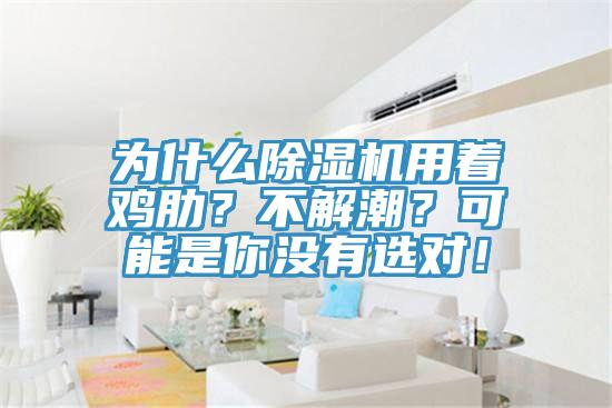 為什么除濕機(jī)用著雞肋？不解潮？可能是你沒有選對(duì)！