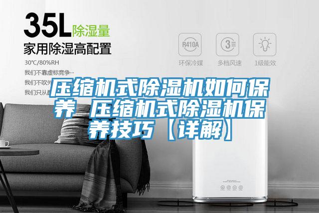 壓縮機(jī)式除濕機(jī)如何保養(yǎng) 壓縮機(jī)式除濕機(jī)保養(yǎng)技巧【詳解】