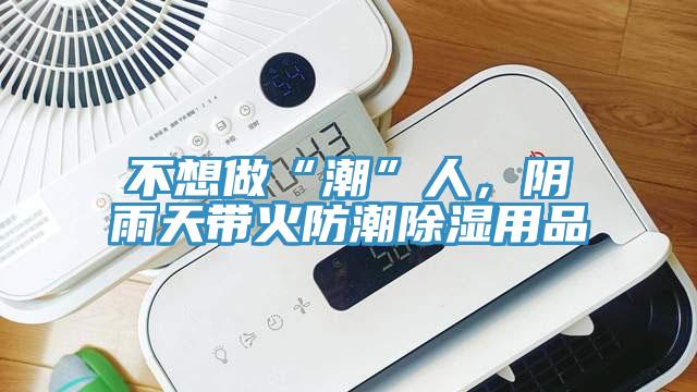 不想做“潮”人，陰雨天帶火防潮除濕用品