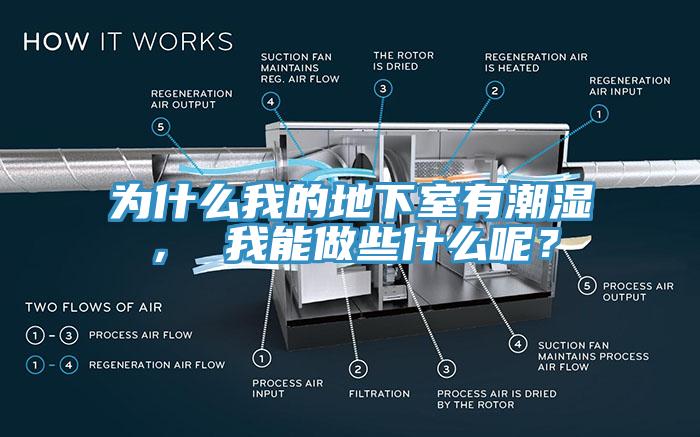為什么我的地下室有潮濕， 我能做些什么呢？