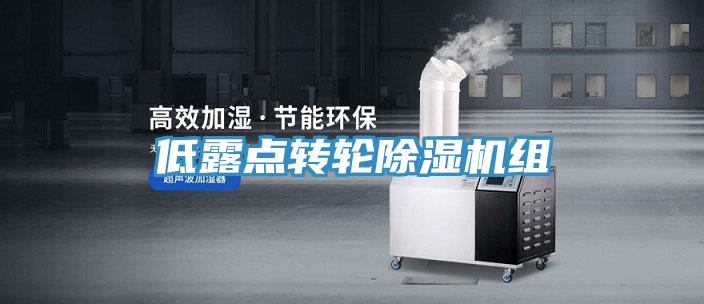 低露點轉(zhuǎn)輪除濕機組