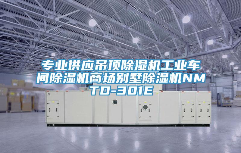 專業(yè)供應(yīng)吊頂除濕機(jī)工業(yè)車間除濕機(jī)商場別墅除濕機(jī)NMTD-301E