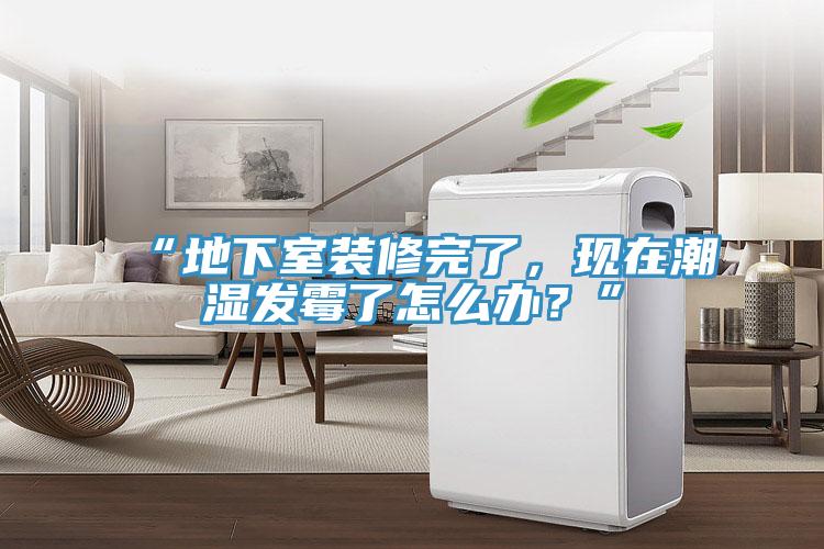 “地下室裝修完了，現(xiàn)在潮濕發(fā)霉了怎么辦？”