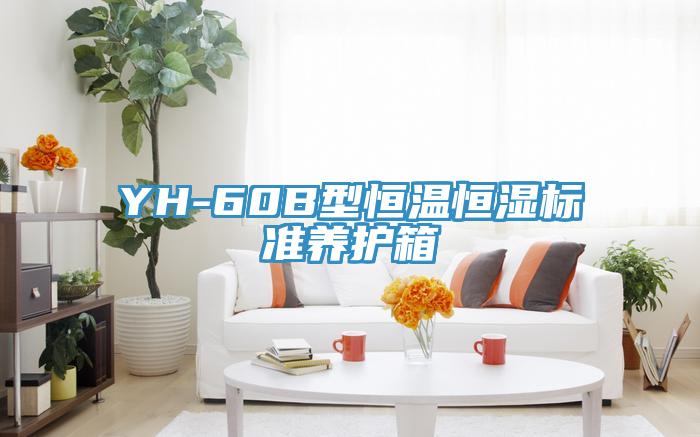 YH-60B型恒溫恒濕標準養(yǎng)護箱