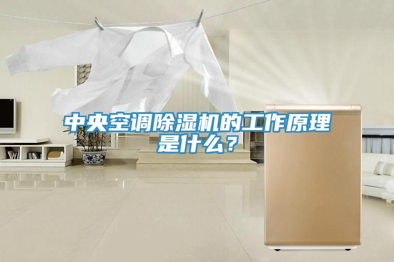 中央空調(diào)除濕機(jī)的工作原理是什么？