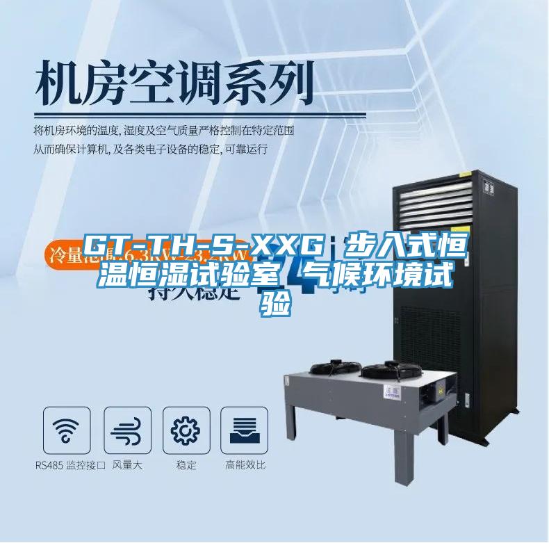 GT-TH-S-XXG 步入式恒溫恒濕試驗室 氣候環(huán)境試驗