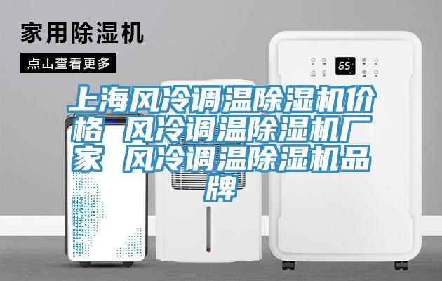 上海風冷調(diào)溫除濕機價格 風冷調(diào)溫除濕機廠家 風冷調(diào)溫除濕機品牌