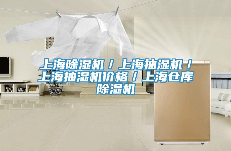 上海除濕機／上海抽濕機／上海抽濕機價格／上海倉庫除濕機