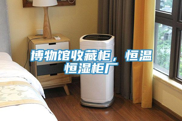 博物館收藏柜，恒溫恒濕柜廠