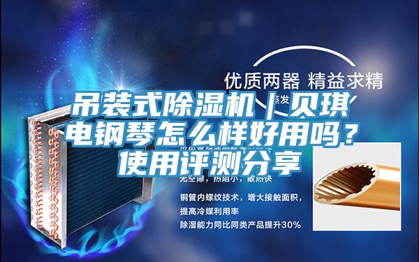 吊裝式除濕機(jī)｜貝琪電鋼琴怎么樣好用嗎？使用評(píng)測(cè)分享
