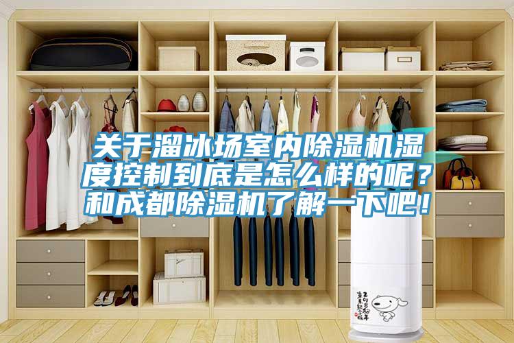 關于溜冰場室內(nèi)除濕機濕度控制到底是怎么樣的呢？和成都除濕機了解一下吧！