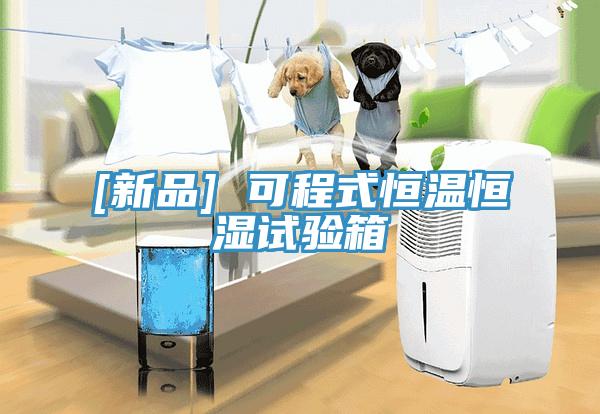 [新品] 可程式恒溫恒濕試驗(yàn)箱