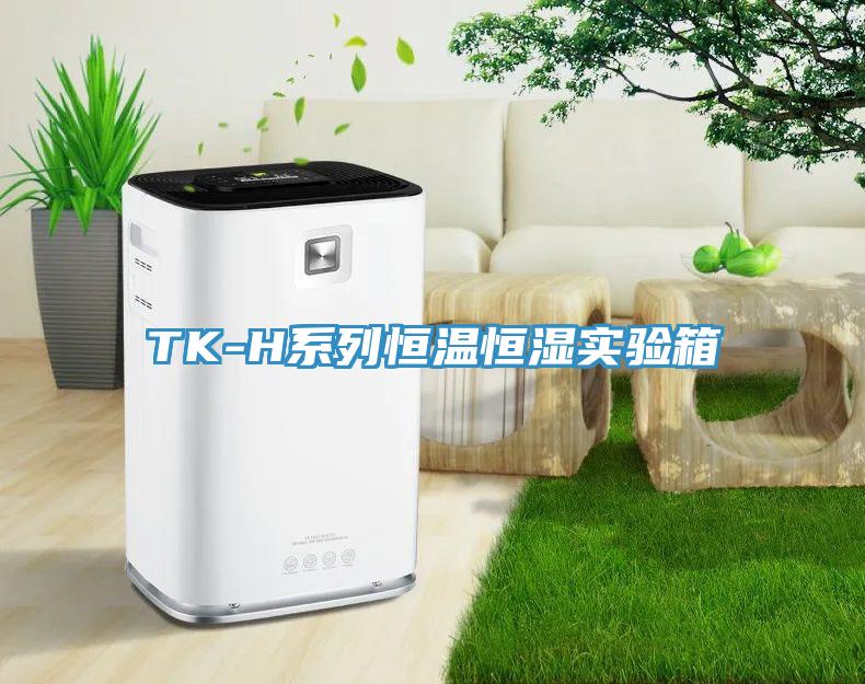 TK-H系列恒溫恒濕實驗箱