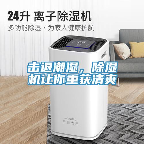 擊退潮濕，除濕機(jī)讓你重獲清爽