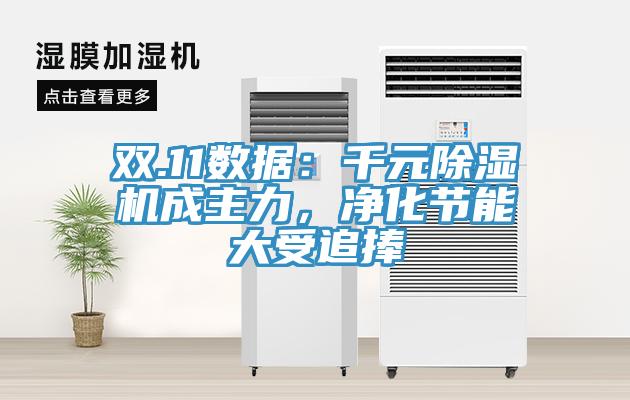雙.11數(shù)據(jù)：千元除濕機成主力，凈化節(jié)能大受追捧
