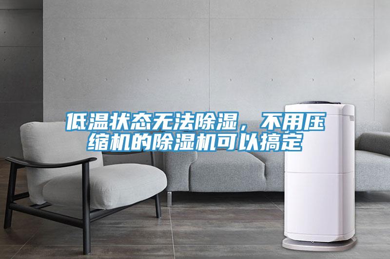 低溫狀態(tài)無法除濕，不用壓縮機的除濕機可以搞定