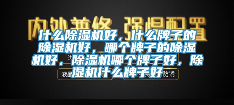 什么除濕機(jī)好，什么牌子的除濕機(jī)好，哪個(gè)牌子的除濕機(jī)好，除濕機(jī)哪個(gè)牌子好，除濕機(jī)什么牌子好