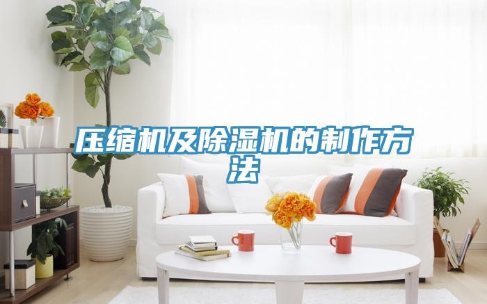 壓縮機(jī)及除濕機(jī)的制作方法