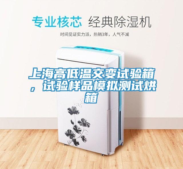 上海高低溫交變?cè)囼?yàn)箱，試驗(yàn)樣品模擬測(cè)試烘箱
