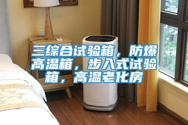 三綜合試驗(yàn)箱，防爆高溫箱，步入式試驗(yàn)箱，高溫老化房