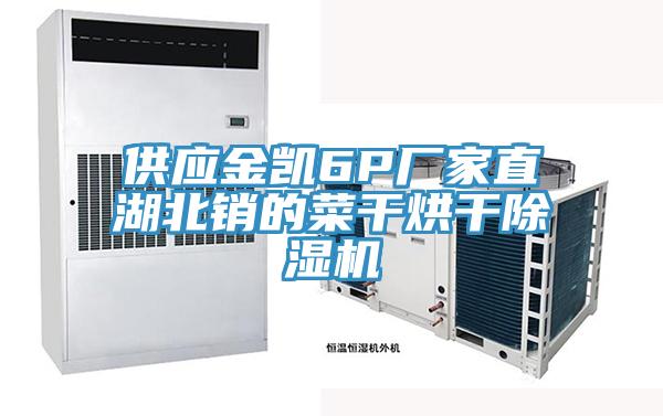 供應(yīng)金凱6P廠家直湖北銷的菜干烘干除濕機