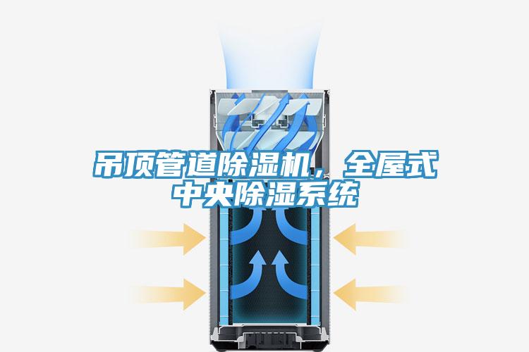 吊頂管道除濕機，全屋式中央除濕系統(tǒng)